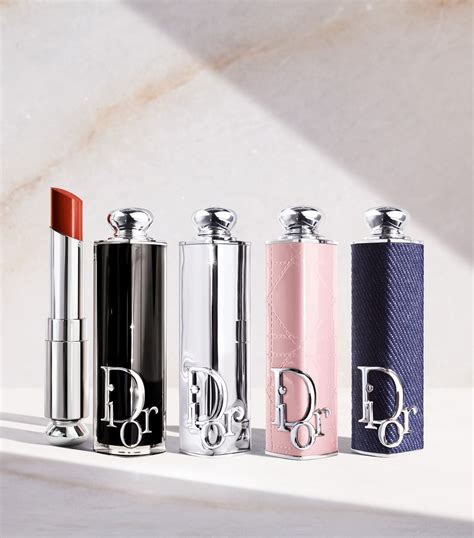 dior lipstick case 2023